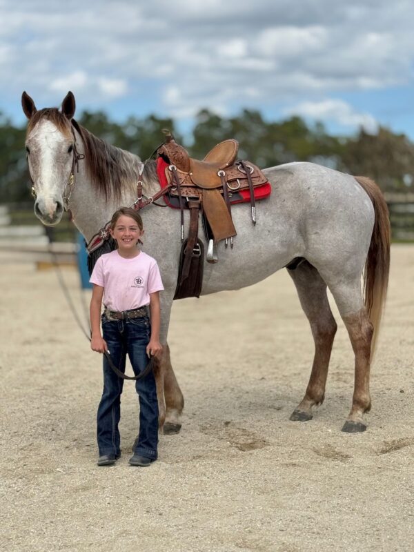We always have horses Avaliable. - Image 8