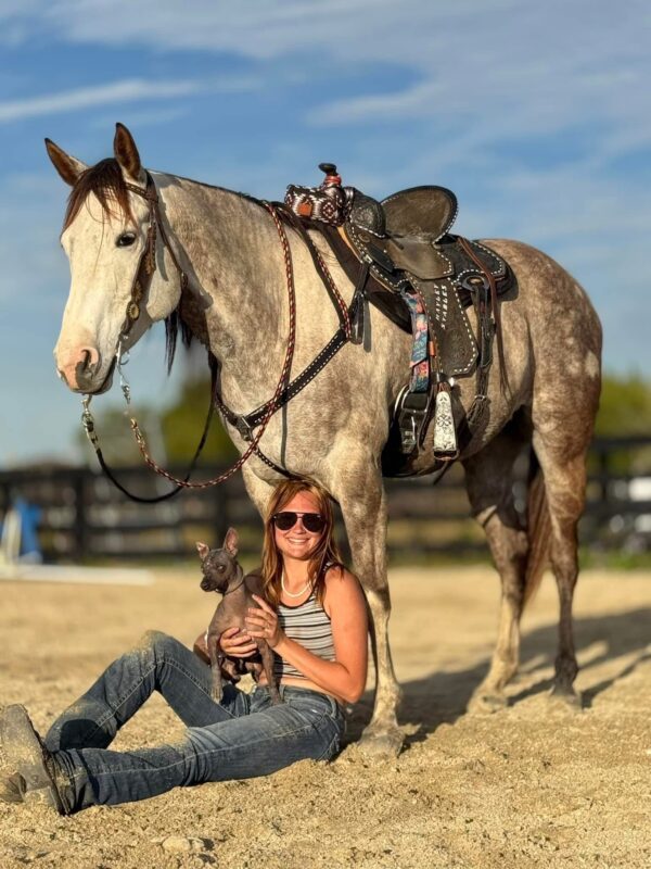 We always have horses Avaliable. - Image 7