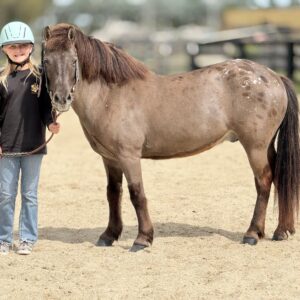 Riding lessons