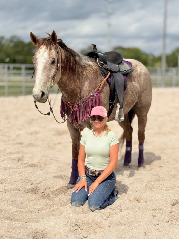 We always have horses Avaliable. - Image 4