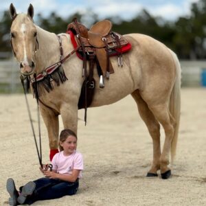 We always have horses Avaliable.