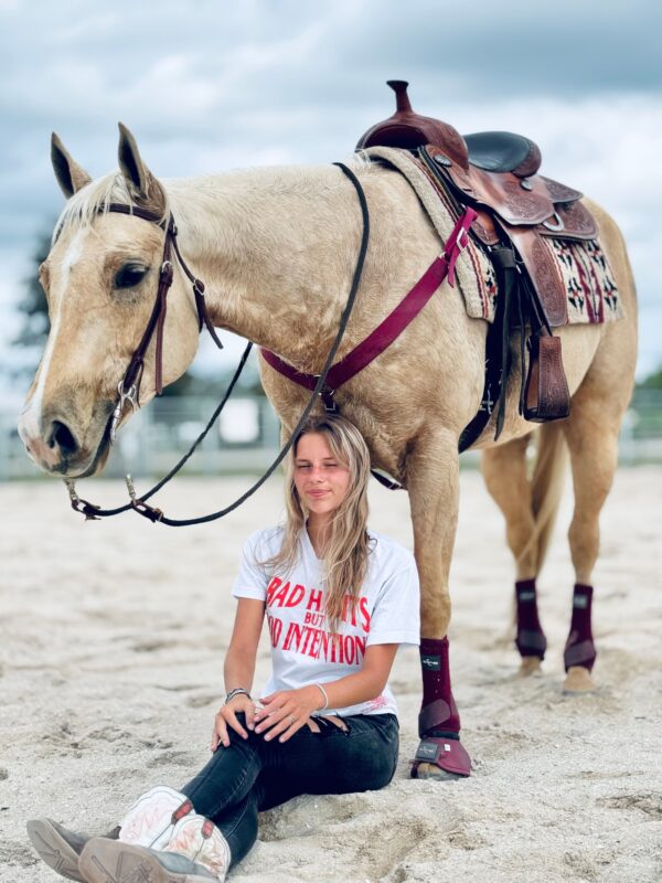 We always have horses Avaliable. - Image 10