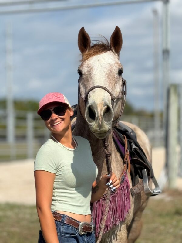 We always have horses Avaliable. - Image 11