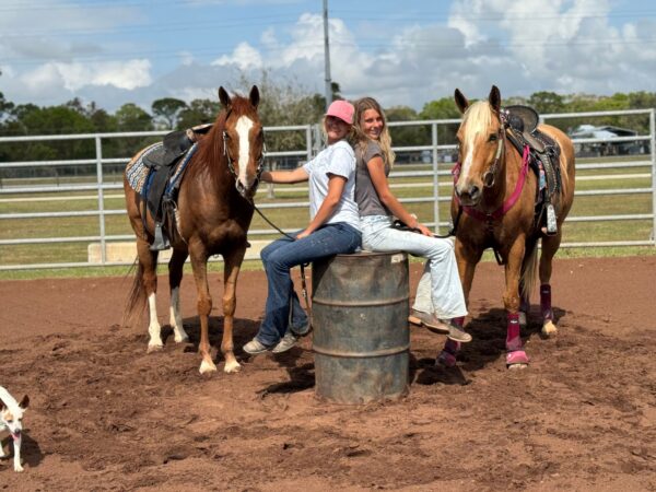We always have horses Avaliable. - Image 12