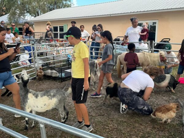 Petting zoo party!!! - Image 2