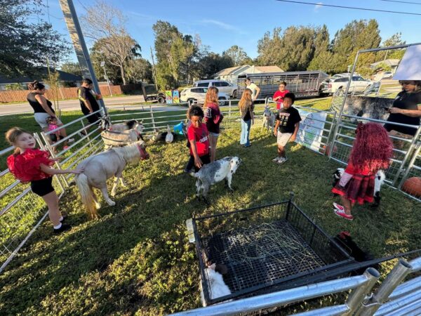 Petting zoo party!!! - Image 9