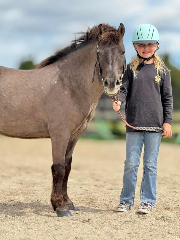 Cherokee bombproof pony. - Image 6