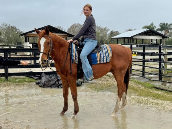 Twister is Avaliable. - Image 6