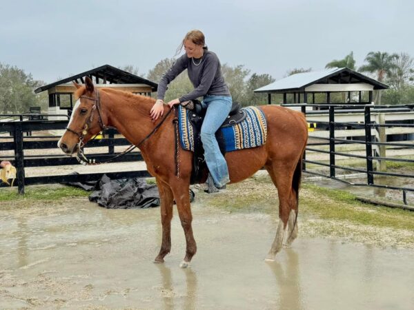 Twister is Avaliable. - Image 7