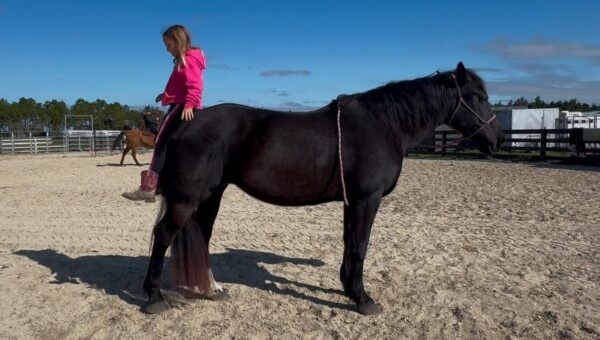 smooth mover